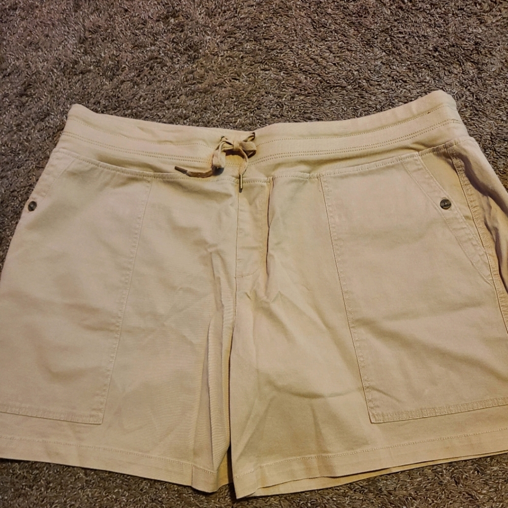 Terra & sky beige shorts 3X